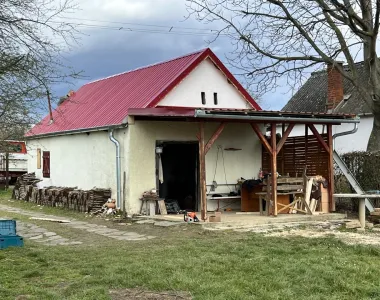 Zsibóti szőlő